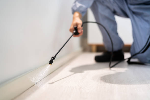 Bed Bug Pre-Treatment Preparation Assessment in Airway Heights