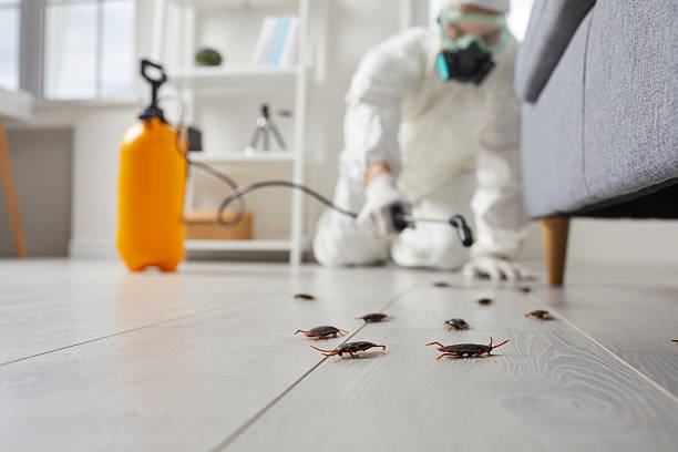 Post-Treatment Bed Bug Interceptor Monitoring in Airway Heights