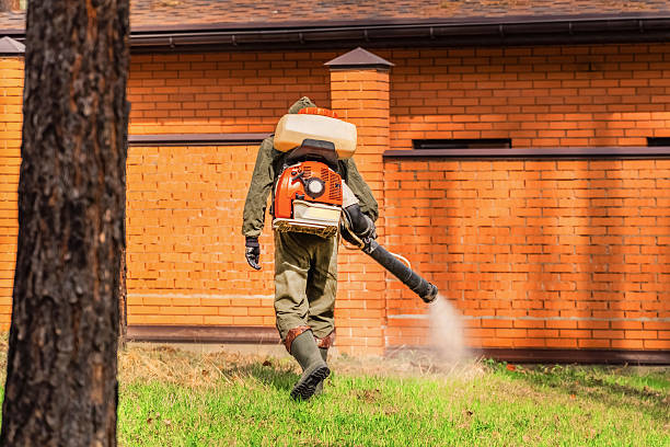 Bed Bug Clearance Verification and Documentation in Airway Heights